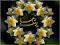 تصویر نحی
