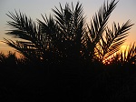 تصویر مهاجر خاک آلود