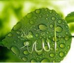 تصویر farzaneh_20