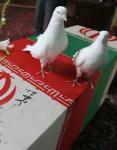 تصویر mrsadegh