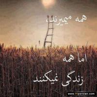 تصویر Angizeh