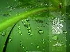 تصویر roh