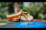 تصویر ر.محمدزاده