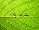 تصویر Sepehrhm