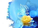 تصویر محب زهراء